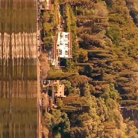 Aliki Studios Букари Экстерьер фото